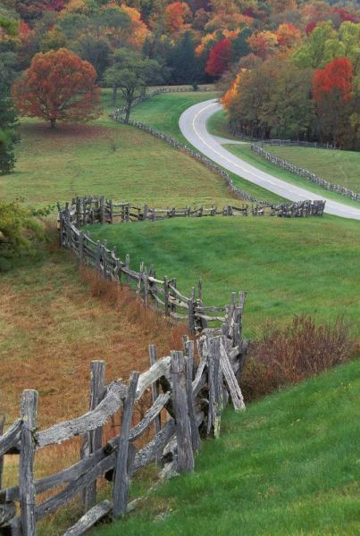 NC, Rail fence and country road in fall landscape